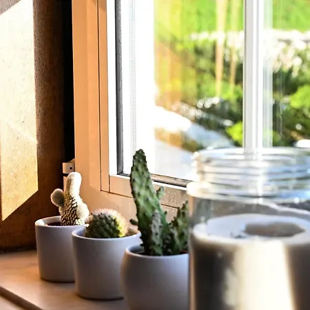 Coworksurf - Dos Irmaos Guest house *
